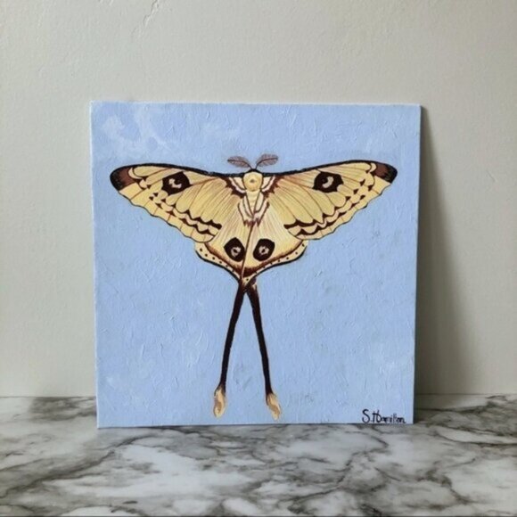 Moon Moth Painting, Acrylic on Canvas - Picture 1 of 8